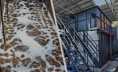 Planta de oxidação avançada